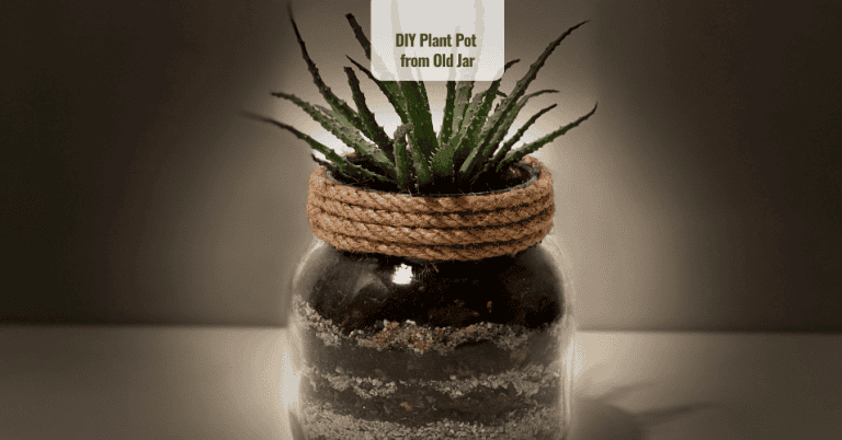 DIY Plant Pot from old jar