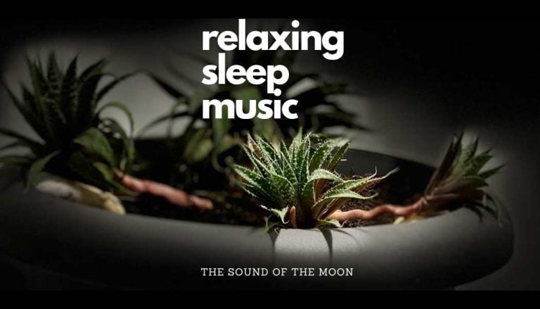 Music for Plants Relaxing Sleep Music