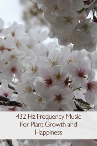 432 Hz frequency music for plant growth and happiness 