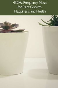 432Hz frequency music for plant growth, happiness, and health