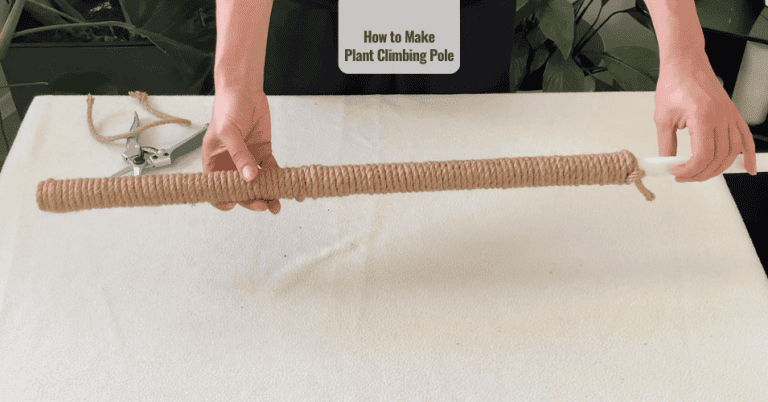 How to Make Plant Climbing Pole