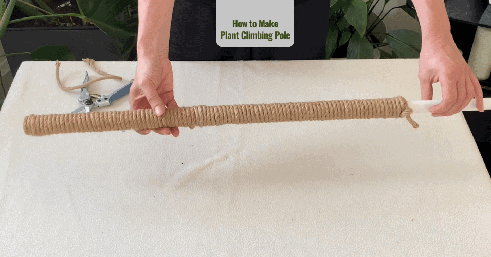 How to Make Plant Climbing Pole