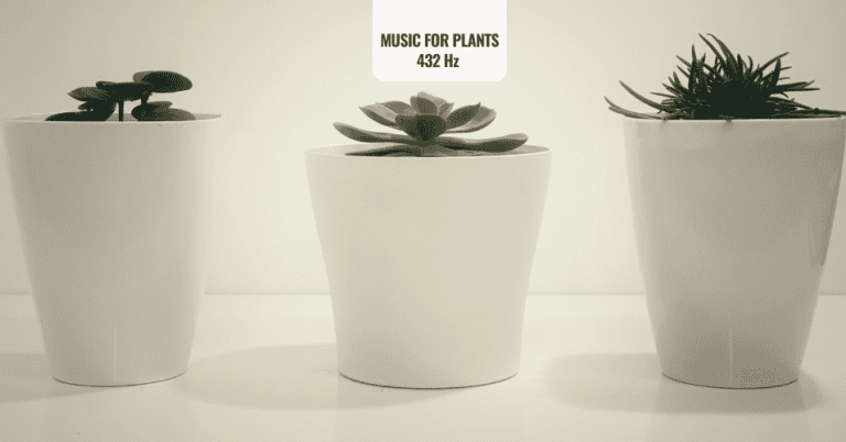 MUSIC FOR PLANTS 432 Hz Frequency music for plants growing