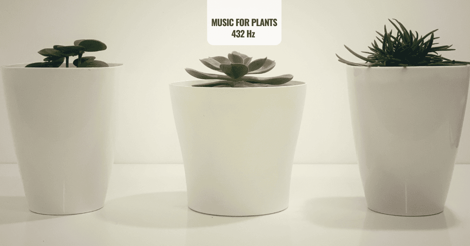 MUSIC FOR PLANTS 432 Hz Frequency music for plants growing