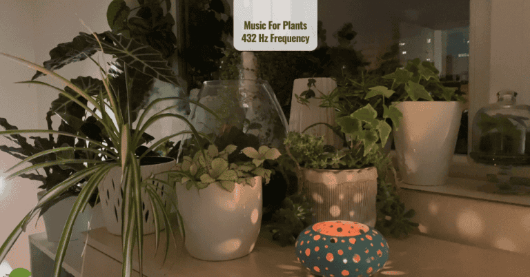 Music For Plants 432 Hz Frequency