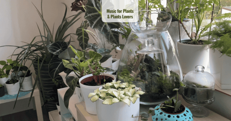 Music for Plants and plants lovers