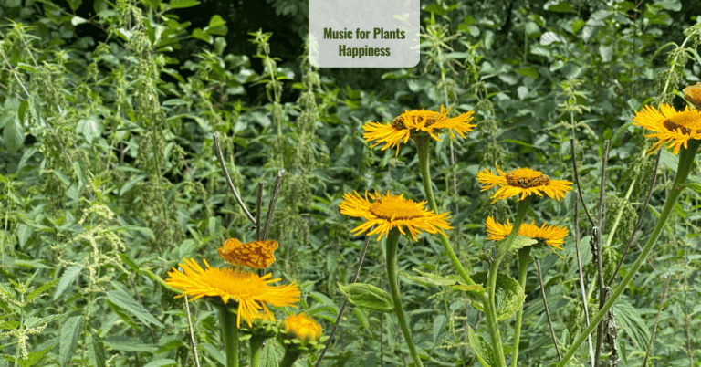 Relaxing Music for Plants Growth and Happiness