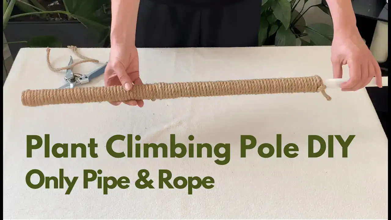 How to make Plant Climbing Pole with Pvc Pipe and Rope DIY Plant