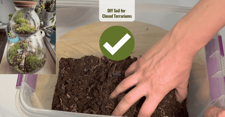 How to make soil mix for terrarium