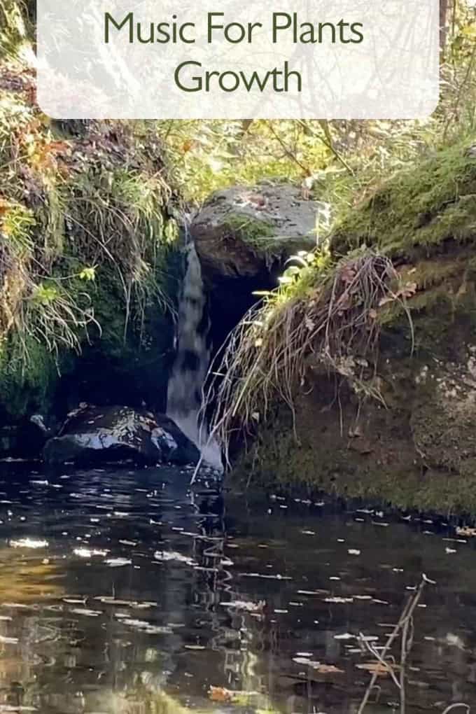 Music for plants growth