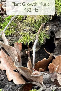 Plant growth music 432 Hz