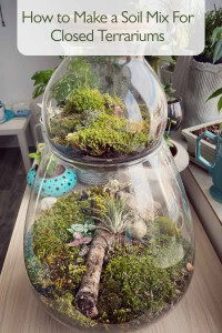 how to make a soil mix for closed terrariums