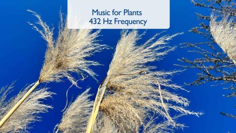 Music for Plants 432 Hz Frequency
