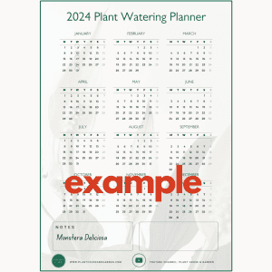 2024 Plant Watering Planner Example
