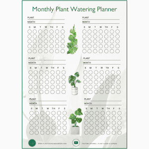 Monthly Plant Watering Planner 1