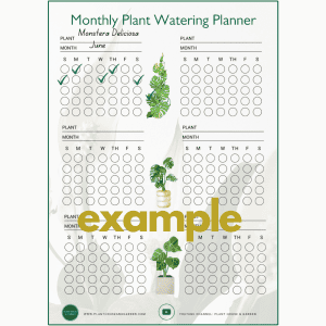 Monthly Plant Watering Planner Example