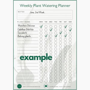 Weekly Plant Watering Planner Example