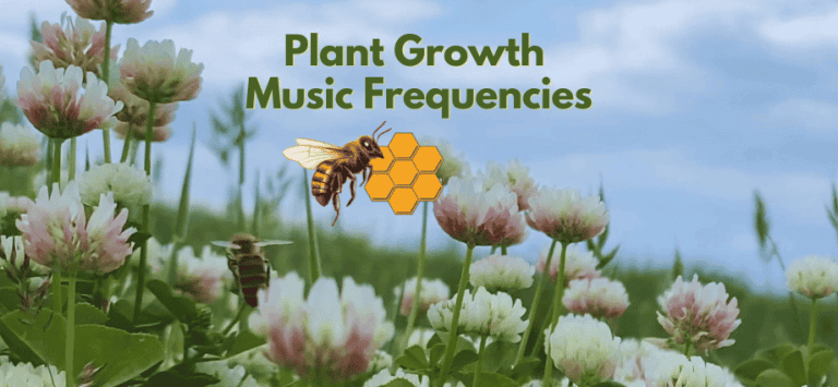 Plant Growth Music Frequencies