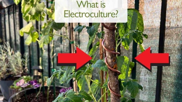 What is Electroculture