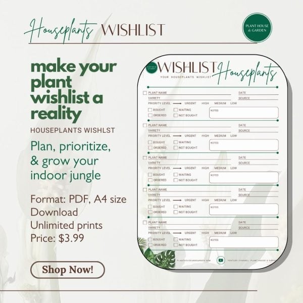 Houseplants Wishlist Ad