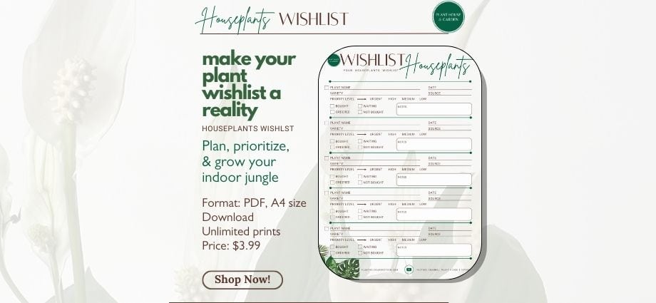 Houseplants Wishlist