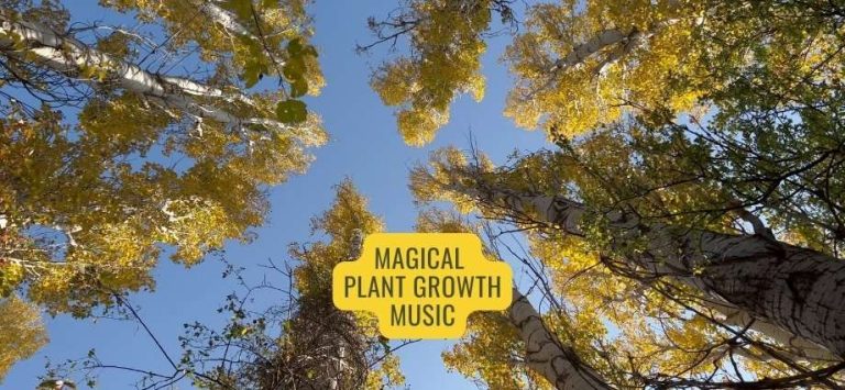 Magical Music for Plant Growth and Happiness with Positive Vibes