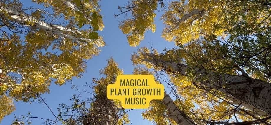 Magical Music for Plant Growth and Happiness with Positive Vibes