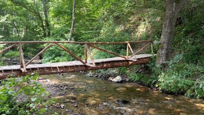 432 Hz natural resonance imagery – peaceful forest and flowing water symbolizing natural harmony in the 440 Hz vs 432 Hz debate