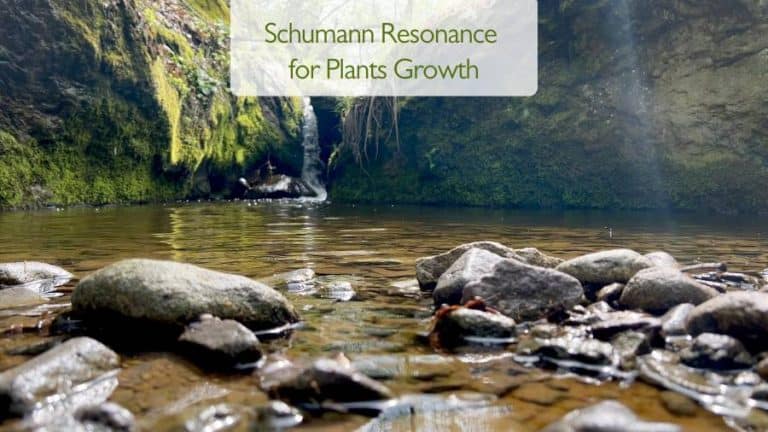 Schumman resonace for plants