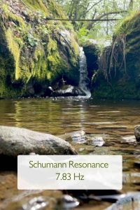 Schumann Resonance for Plants