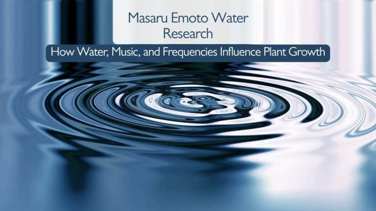 Masaru Emoto water research