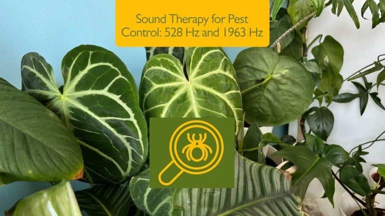 Sound Therapy for Pest Control: 528 Hz and 1963 Hz