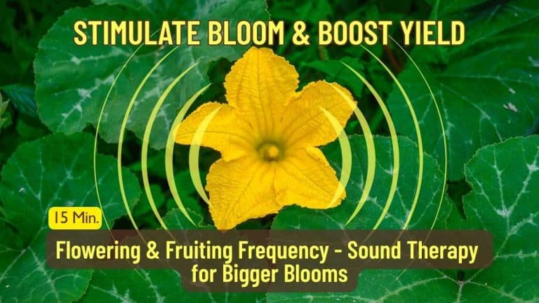Flowering and Fruiting Frequency: 18-Min Sound Therapy