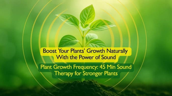 Plant Sound Therapy - Natural Frequencies for Healthy Growth
