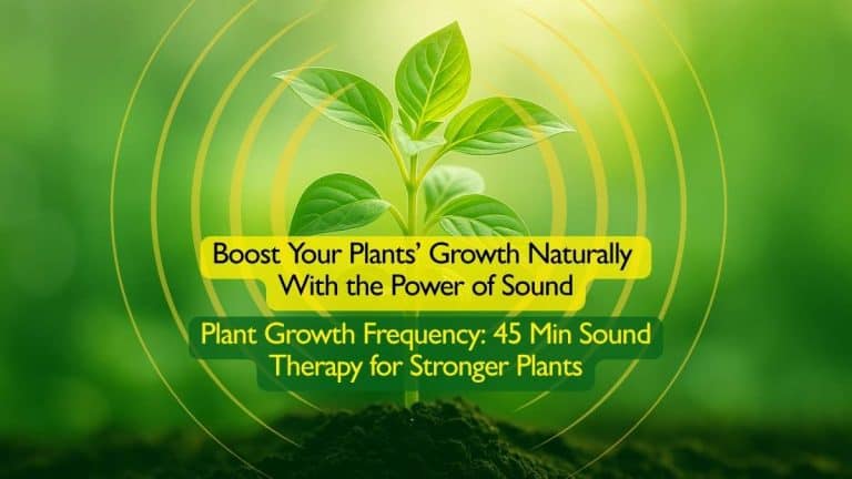 Plant Growth Frequency 45 Min Sound Therapy for Plants Social