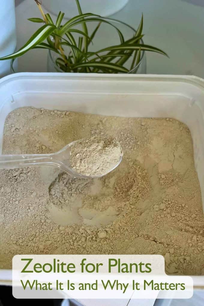Zeolite for Plants What It Is and Why It Matters Pin2