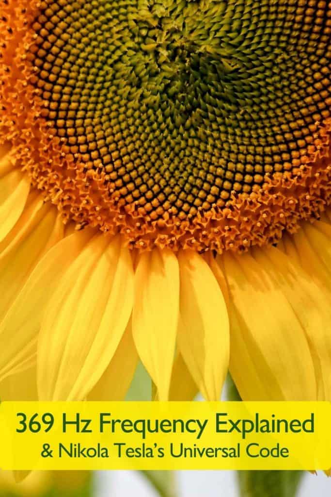 Sunflower center showing Fibonacci spiral pattern symbolizing creation, harmony, and the 369 Hz frequency inspired by Nikola Tesla’s Universal Code.