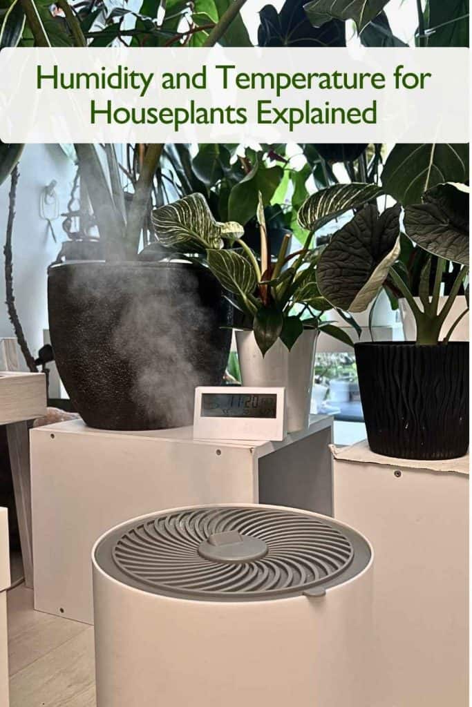 Humidity and Temperature for Houseplants Explained