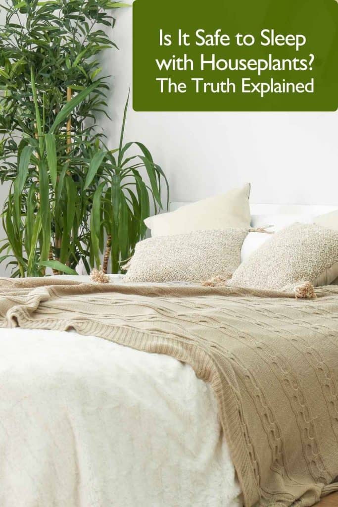 Cozy bedroom filled with plants showing that is it safe to sleep with houseplants and enjoy cleaner air and a peaceful night’s rest.