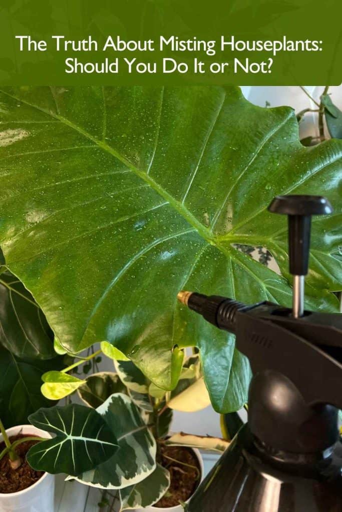 A person misting large tropical houseplant leaf with a spray bottle - The Truth About Misting Houseplants: Should You Do It or Not?