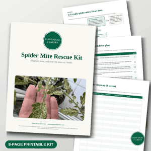 Spider Mite Rescue Kit printable plant recovery guide (8 pages)
