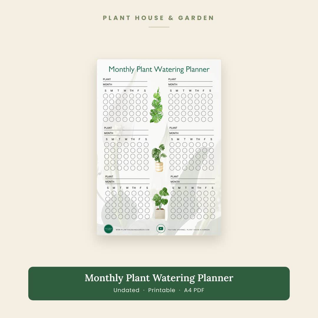 Monthly plant watering planner, undated printable A4 PDF tracker
