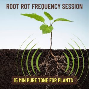 Root Rot Frequency Session, pure tone audio for plants