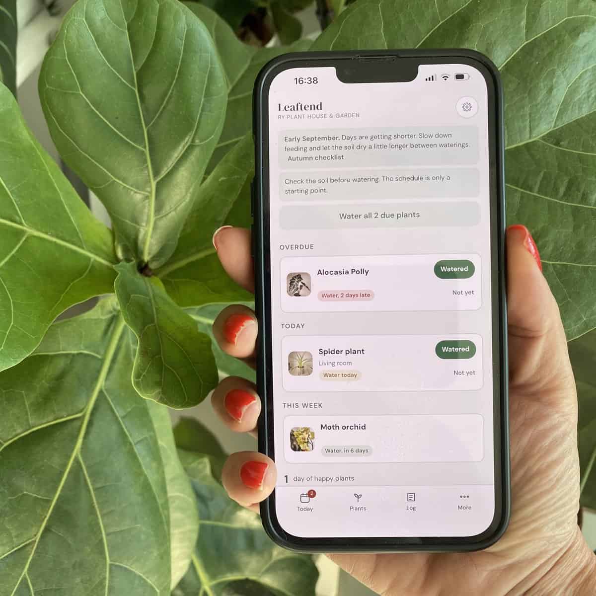 Leaftend plant care app on a phone
