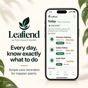 Leaftend app Today screen with daily watering and feeding reminders